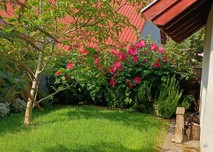 Casa Blanca Iii 발라톤페니베스